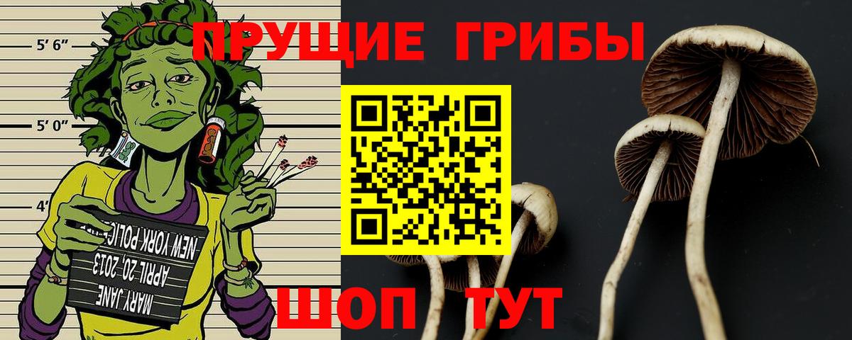 Псилоцибиновые грибы Psilocybine cubensis  Псилоцибиновые грибы Magic Shrooms  Красноуфимск  Вход с VPN 
